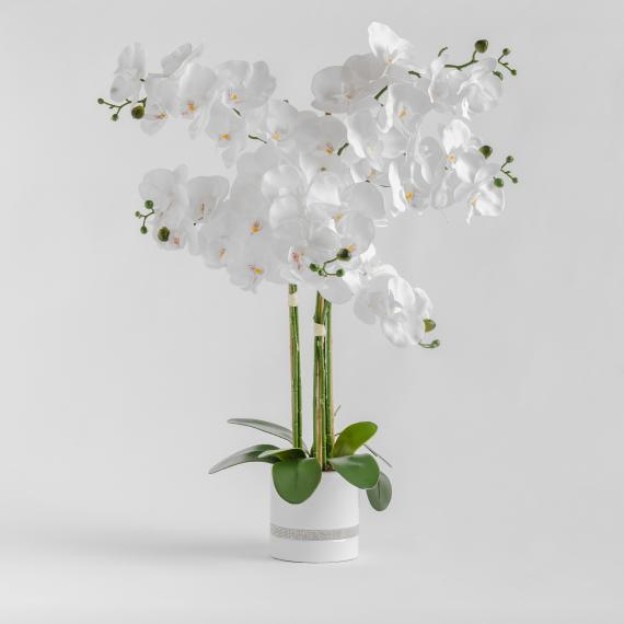 Цветочная композиция ORCHIBITTO