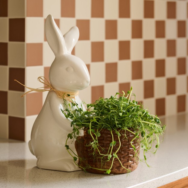 Bol decorativ BARROWRAFIOS