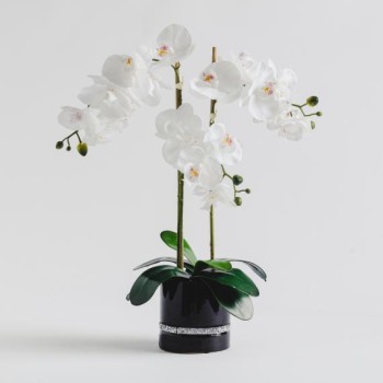 Compoziție florală ORCHGLAM