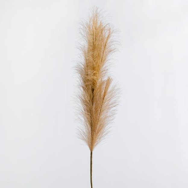 Floare decorativa MISCANTIR