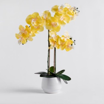 Compoziție florală ORCHISUN
