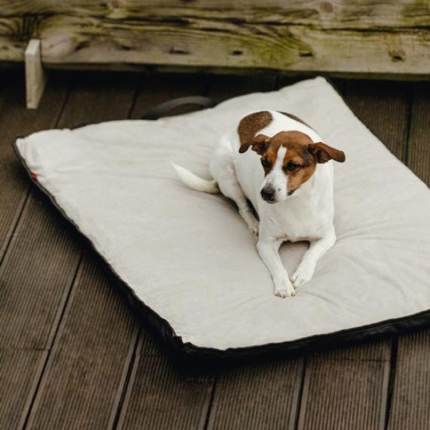 Asternut pentru animale TOGO