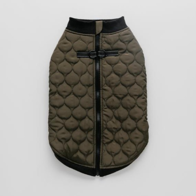 Одежда для животных CELTIC