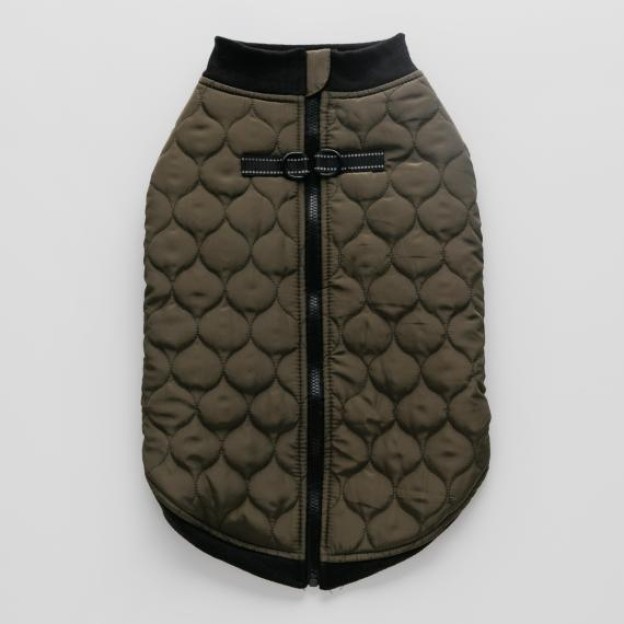 Одежда для животных CELTIC