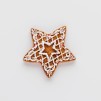 Magnet pentru frigider GINGERSTAR