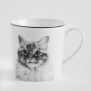 Cana KITTIE