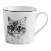 Cana KITTIE
