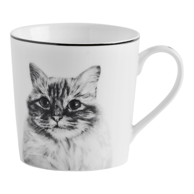 Cana KITTIE