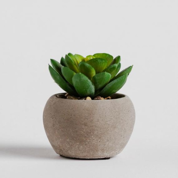 Цветочная композиция POPPES