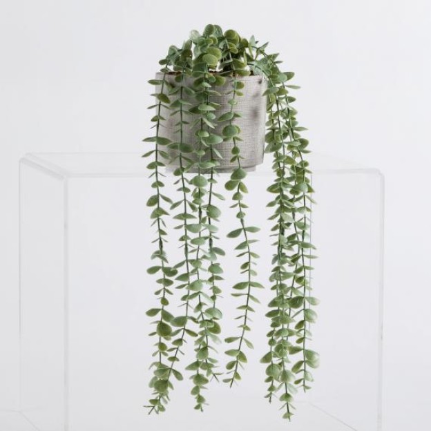 Цветочная композиция RAMBLER