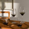 Pahar pentru vin GRADIANE