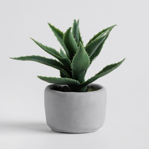 Цветочная композиция ALOESI