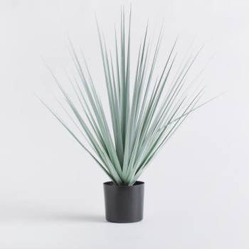 Compoziție de flori HERBA