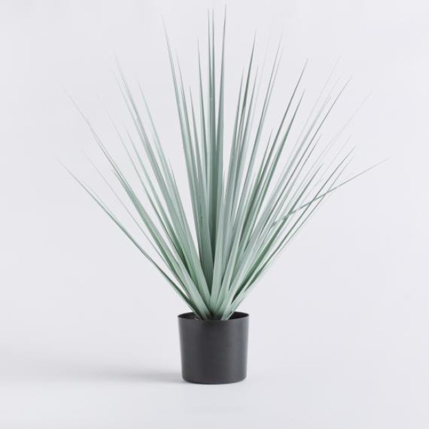 Композиция для цветов HERBA