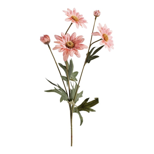 Цветочная композиция яблоко GARETO