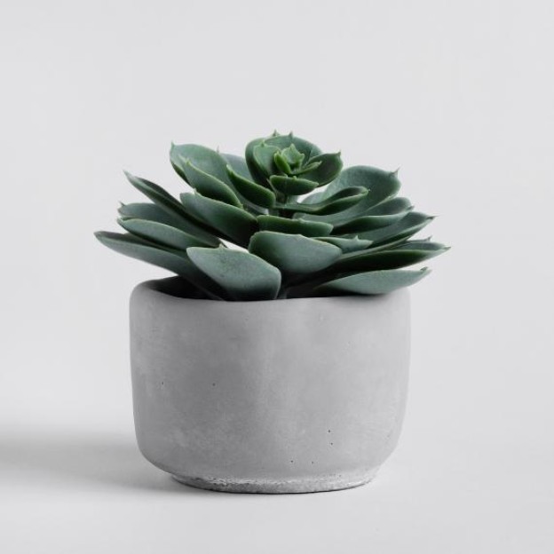 Композиция для цветов SUKULISO