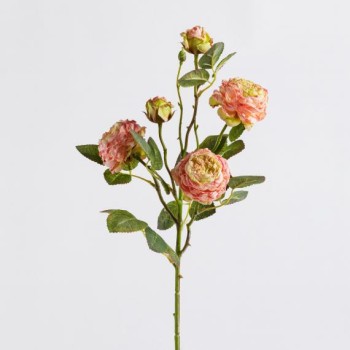 Compoziție florală PEONI