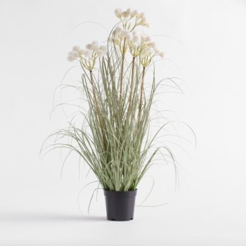 Compoziție florală TRAVISI