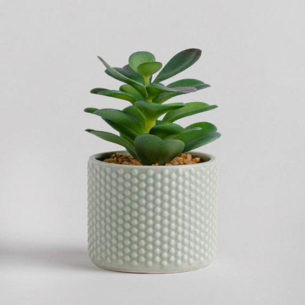 Цветок декоративный TAMI