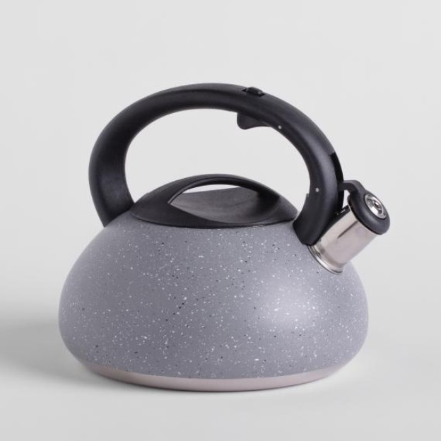 Чайник PITCHER