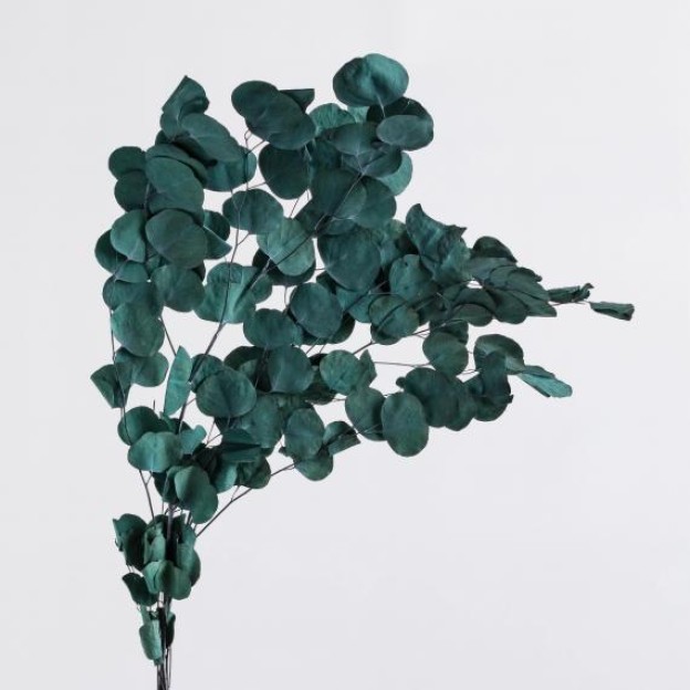 Compozitie decorativa EUCALIPTI