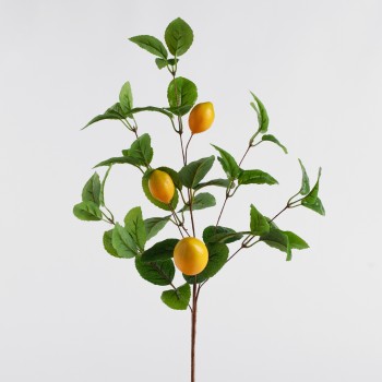 Compoziție de flori LIMONES