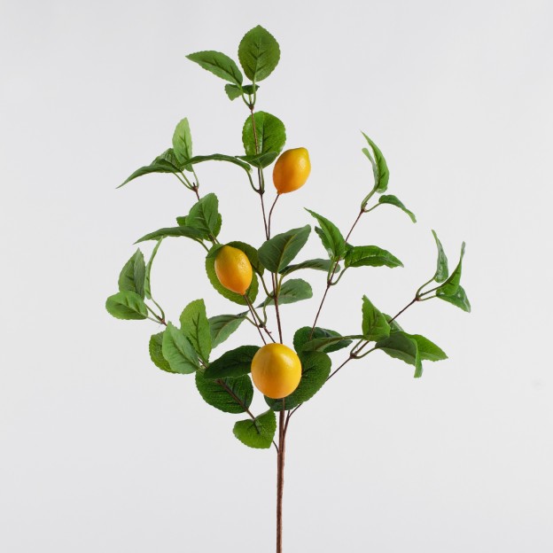 Композиция для цветов LIMONES