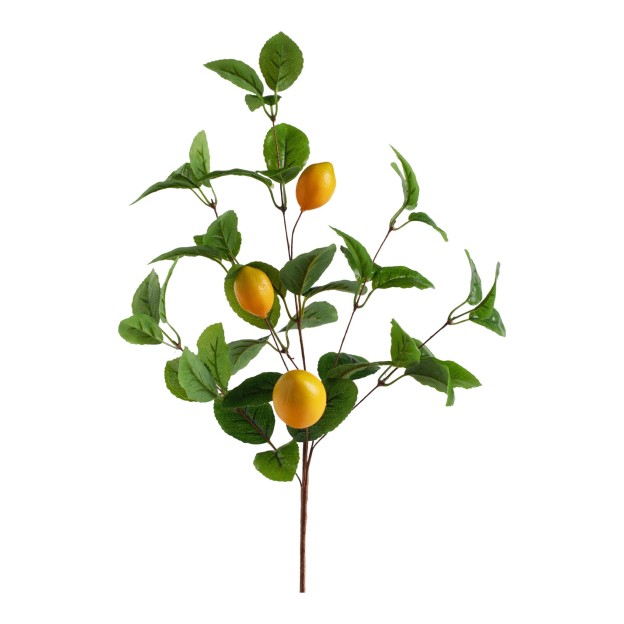 Композиция для цветов LIMONES