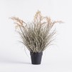 Buchet decorativ  NARASO