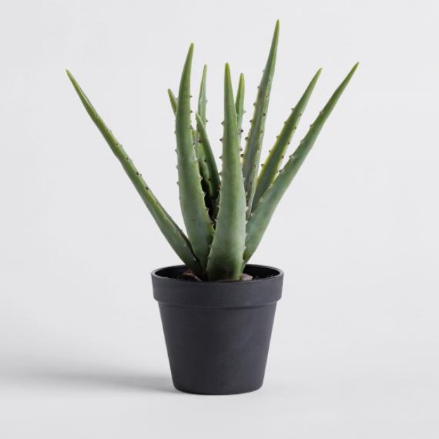 Цветочная композиция VERASI