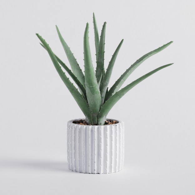 Веточка декоративная ALOESIO