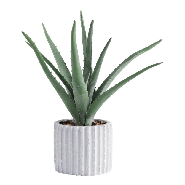 Веточка декоративная ALOESIO