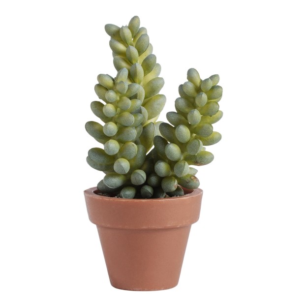 Цветок декоративный JADEA