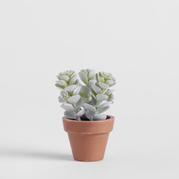 Floare decorativa PETALICIOUS