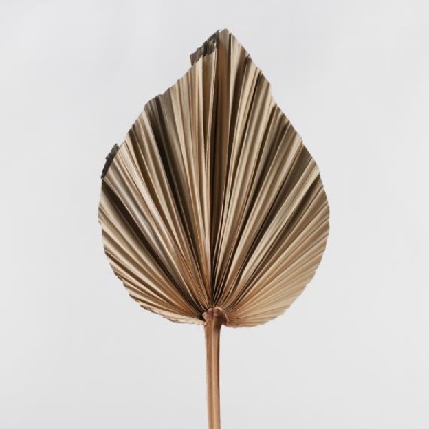 Crenguta decorativa ROFIA