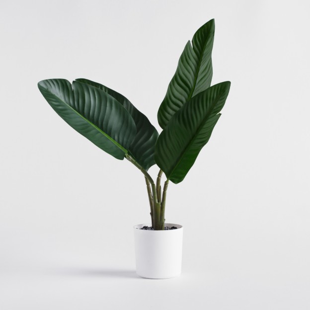 Цветок декоративный STRELICA