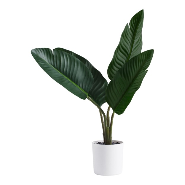 Цветок декоративный STRELICA