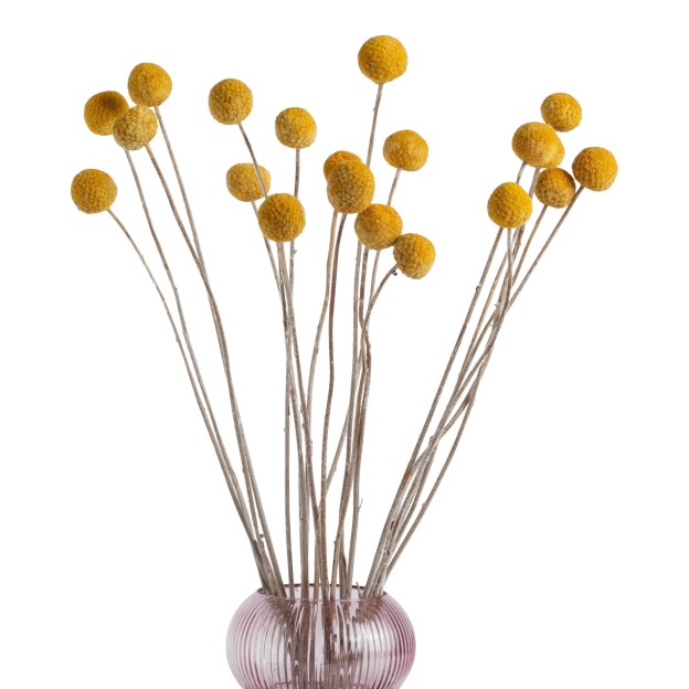 Веточка декоративная BLUMBALLA