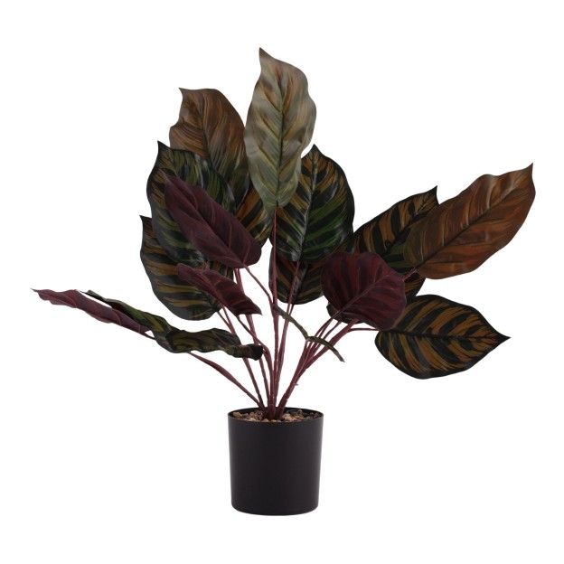 Цветочная композиция яблоко ANTHOS