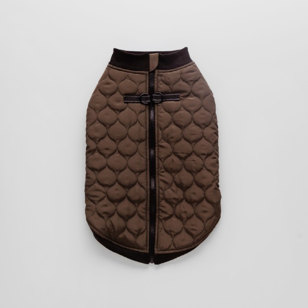 Haina animale CELTIC