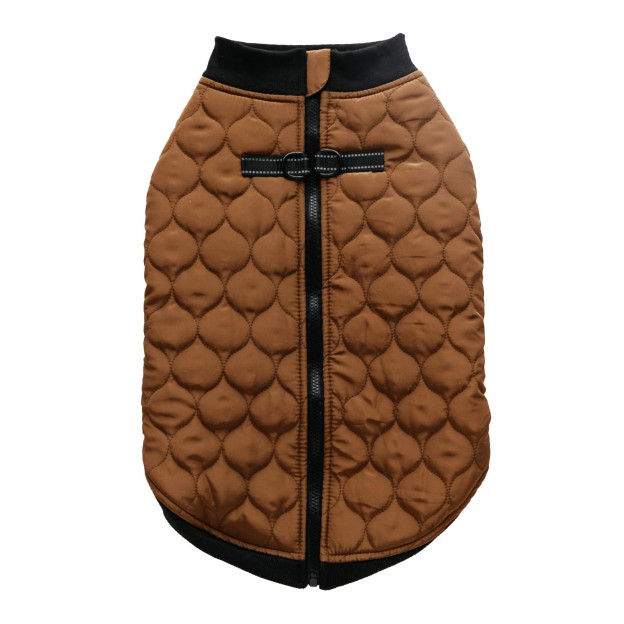 Haina animale CELTIC