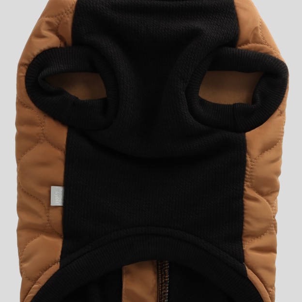 Haina animale CELTIC