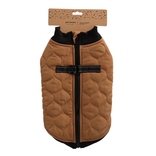 Haina animale CELTIC