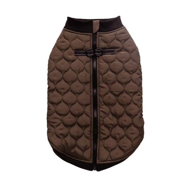 Haina animale CELTIC