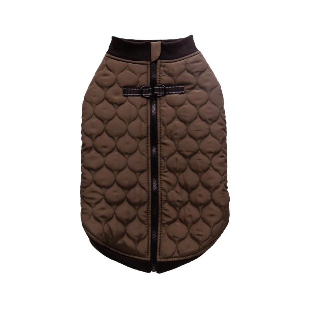 Haina animale CELTIC