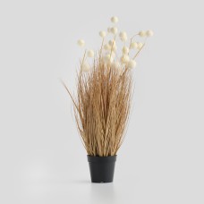 Decorațiune Erbasso Decorațiune Erbasso