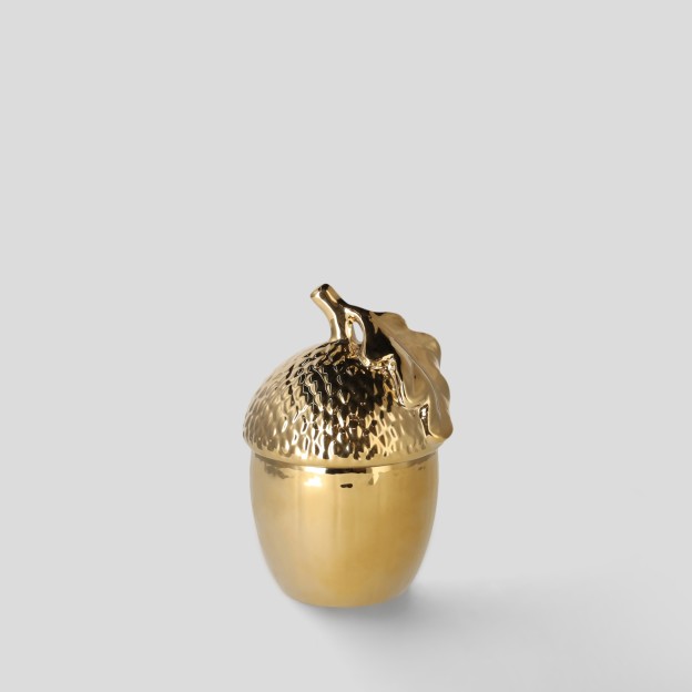 Container PINASTA