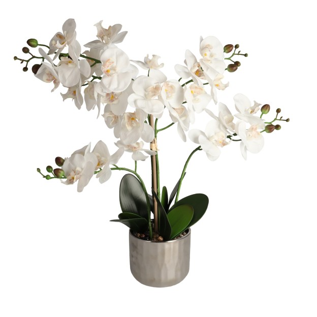 Compozitie florala ORCHIANOS