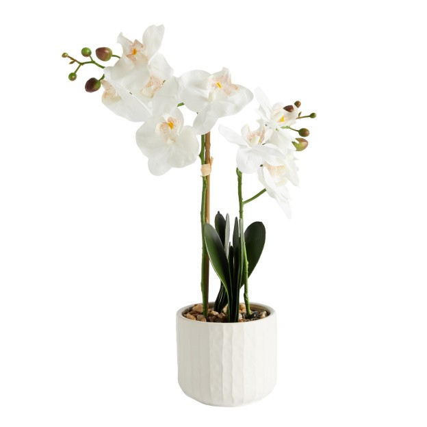 Цветочная композиция ORCHIANIS