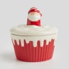Container SANTAS